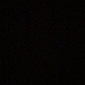 Meet your Posher, Lily